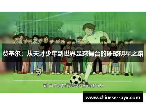 费基尔：从天才少年到世界足球舞台的璀璨明星之路