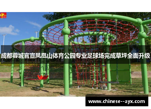 成都蓉城官宣凤凰山体育公园专业足球场完成草坪全面升级