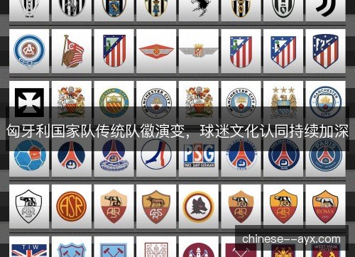 匈牙利国家队传统队徽演变，球迷文化认同持续加深